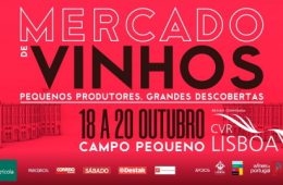 dégustation de vins