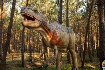 visiter le parc des dinosaures au Portugal