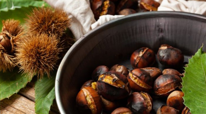 Châtaignes grillées du Magusto, la fête de la Saint-Martin en novembre
